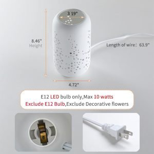 51EbLCFIwDL._AC_SL1000