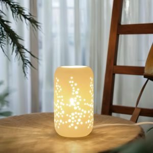 61MAXKl9bZL._AC_SL1024