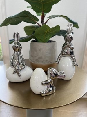 81mmxS8mazL._AC_SL1500