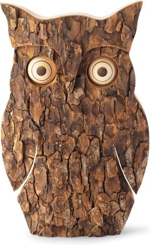 91Jdjpl1vjL._AC_SL1500