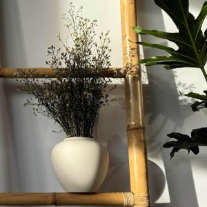 91koD6JLVSL._AC_SL1500