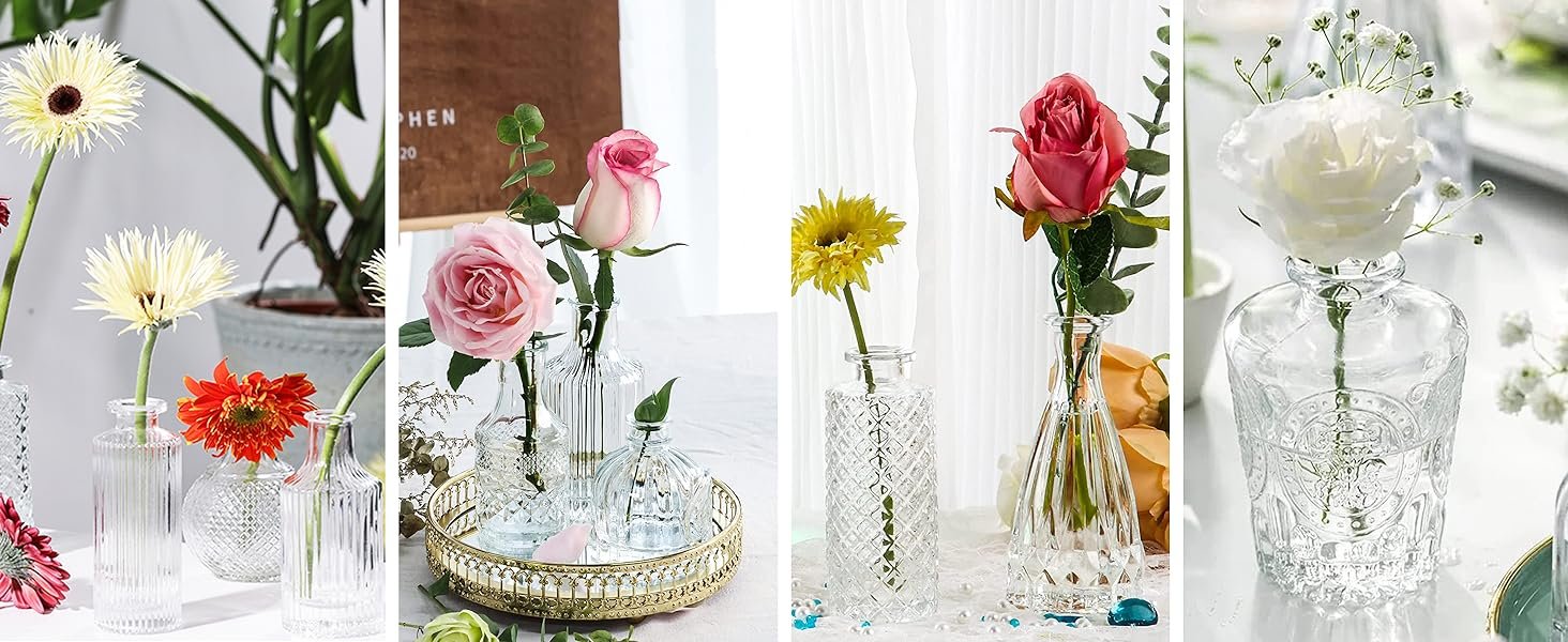 Glass Bud Vases 